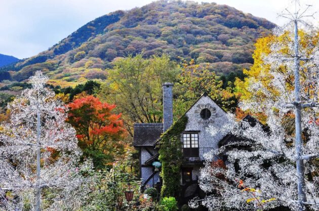 Hakone Glass Forest Museum
