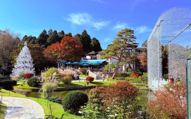 Hakone Glass Forest Museum