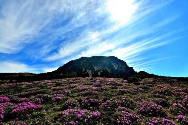 Hallasan National Park