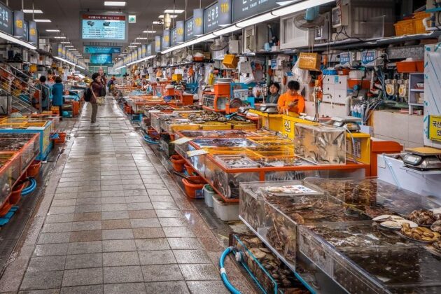 Jagalchi Fish Market