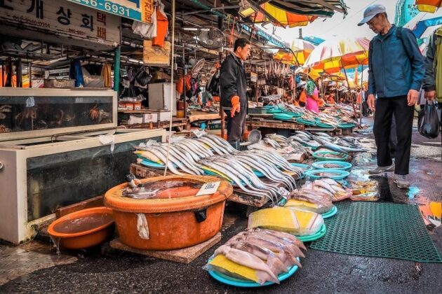 Jagalchi Fish Market
