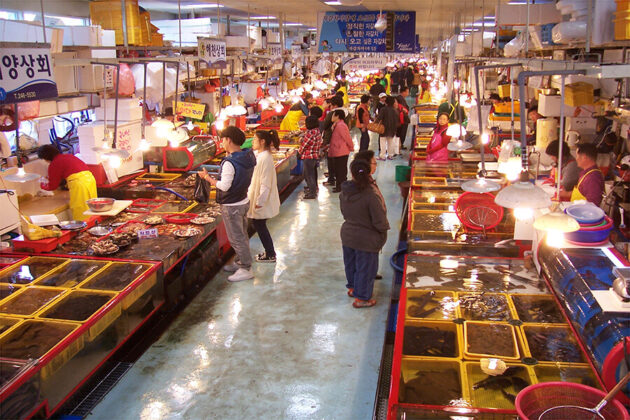 Jagalchi Fish Market