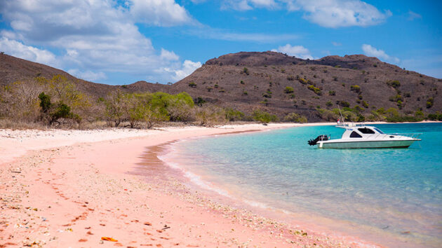 Komodo National Park
