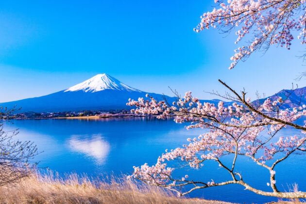 Lake Kawaguchi