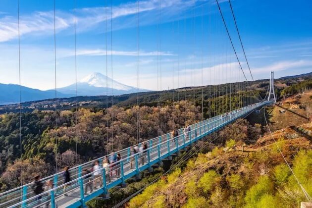 Mishima Skywalk