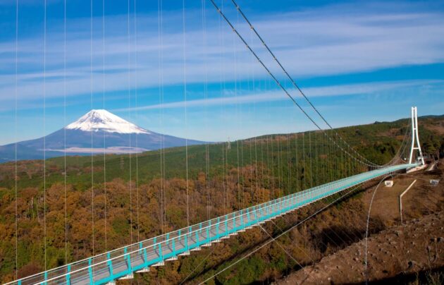 Mishima Skywalk
