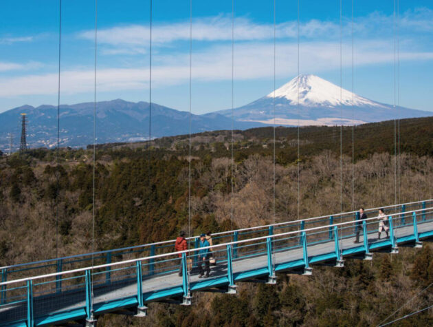 Mishima Skywalk
