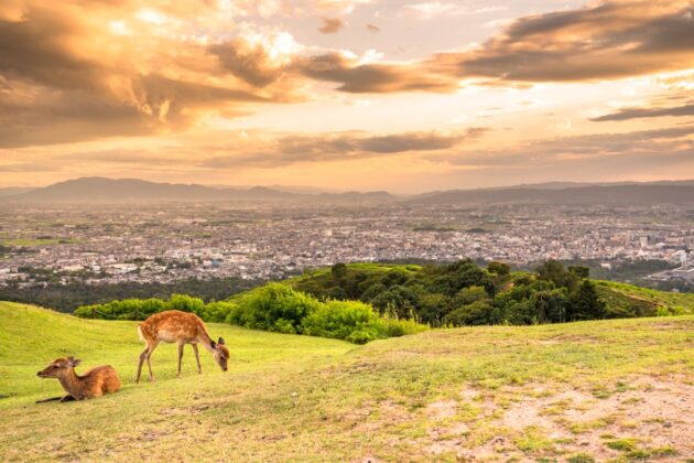 Mount Wakakusa