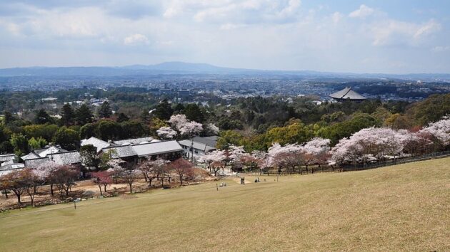 Mount Wakakusa