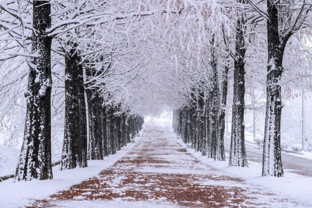 Nami Island