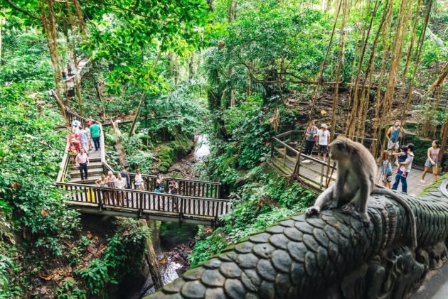 Sacred Monkey Forest Sanctuary