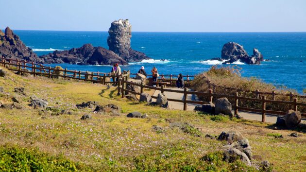 Seopjikoji