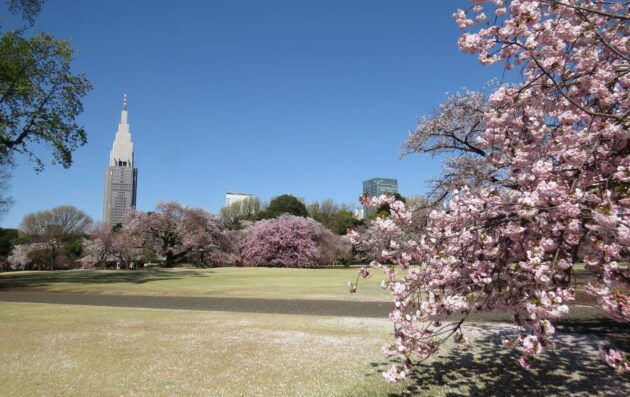 Shinjuku Gyoen National Garden