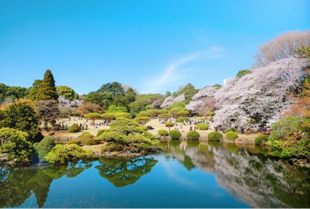 Shinjuku Gyoen National Garden