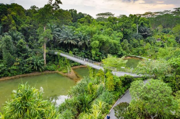 Singapore Botanic Gardens
