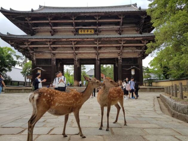 Tōdai-ji Temple