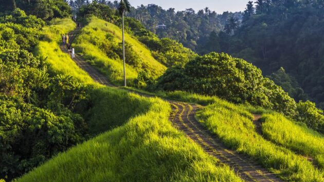 Ubud