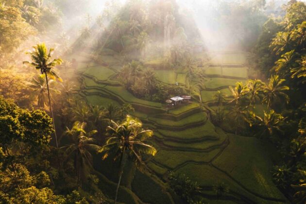 Ubud