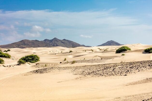Viana Desert