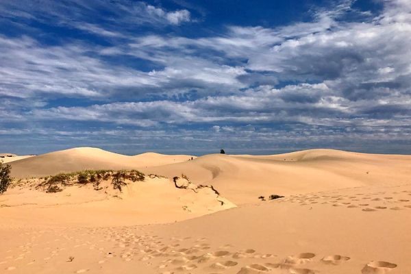 Viana Desert