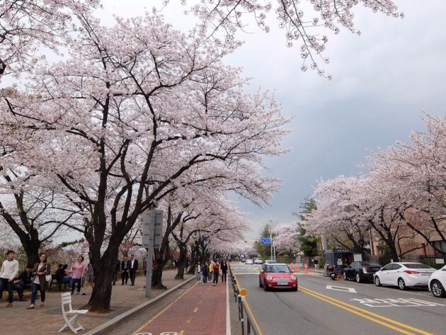 Yeouido Hangang Park