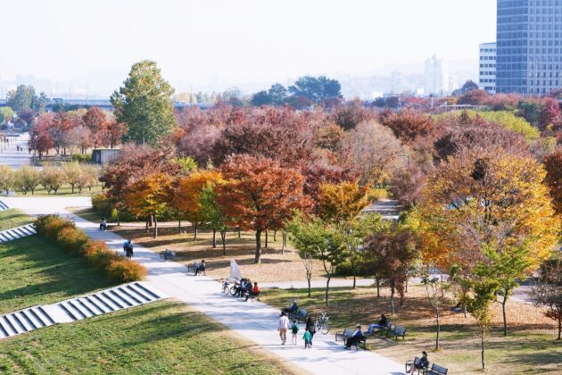 Yeouido Hangang Park