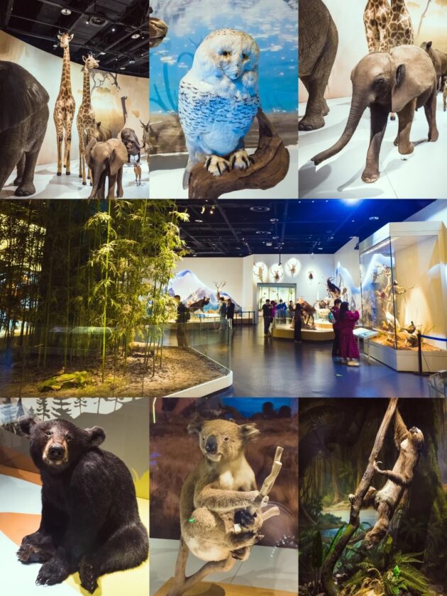 Chengdu Museum