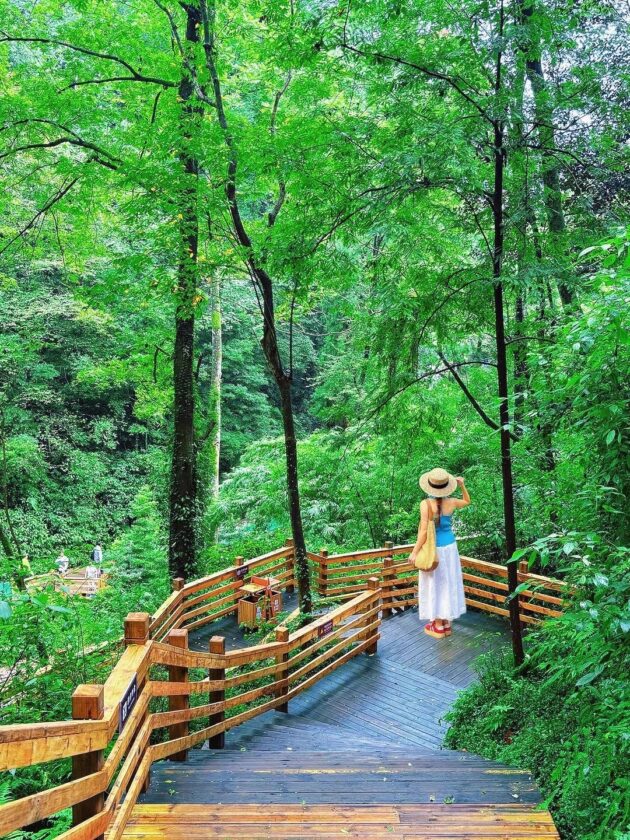 Mount Qingcheng