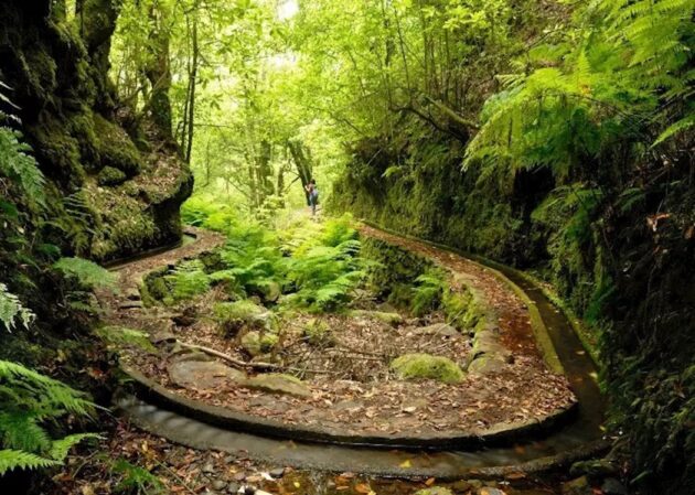 Levadas and Mountain Trails