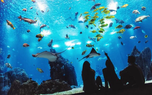 Oceanário de Lisboa
