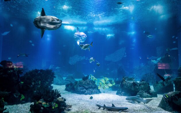 Oceanário de Lisboa