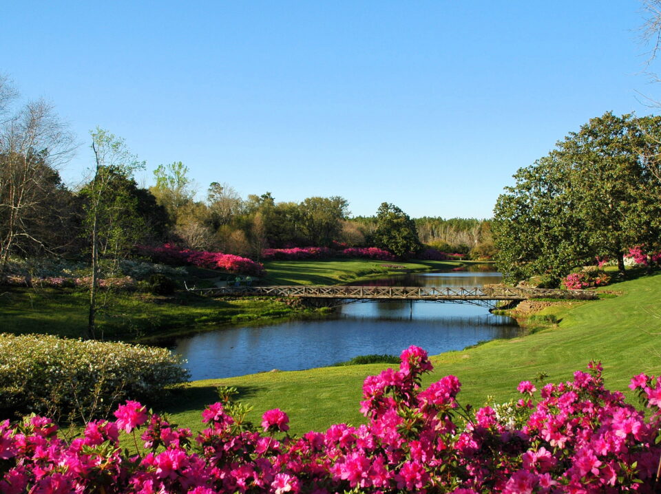 Bellingrath Gardens & Home