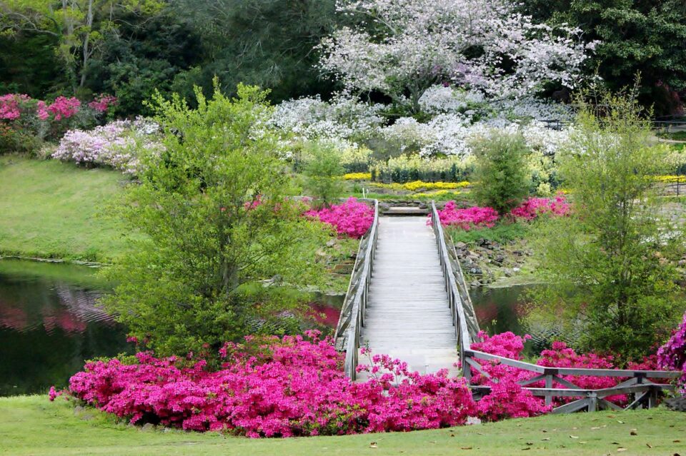Bellingrath Gardens & Home