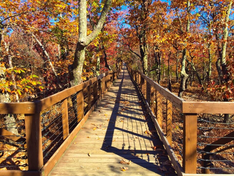 Cheaha State Park
