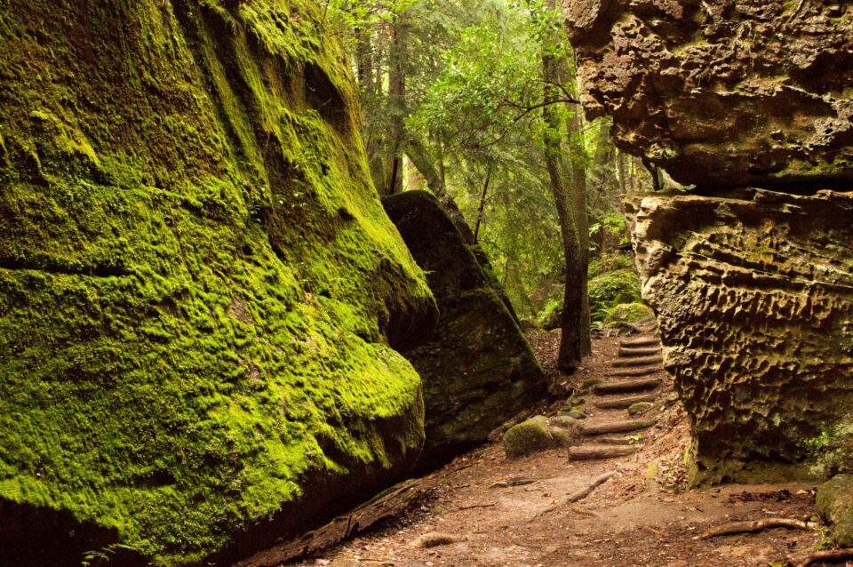 Dismals Canyon