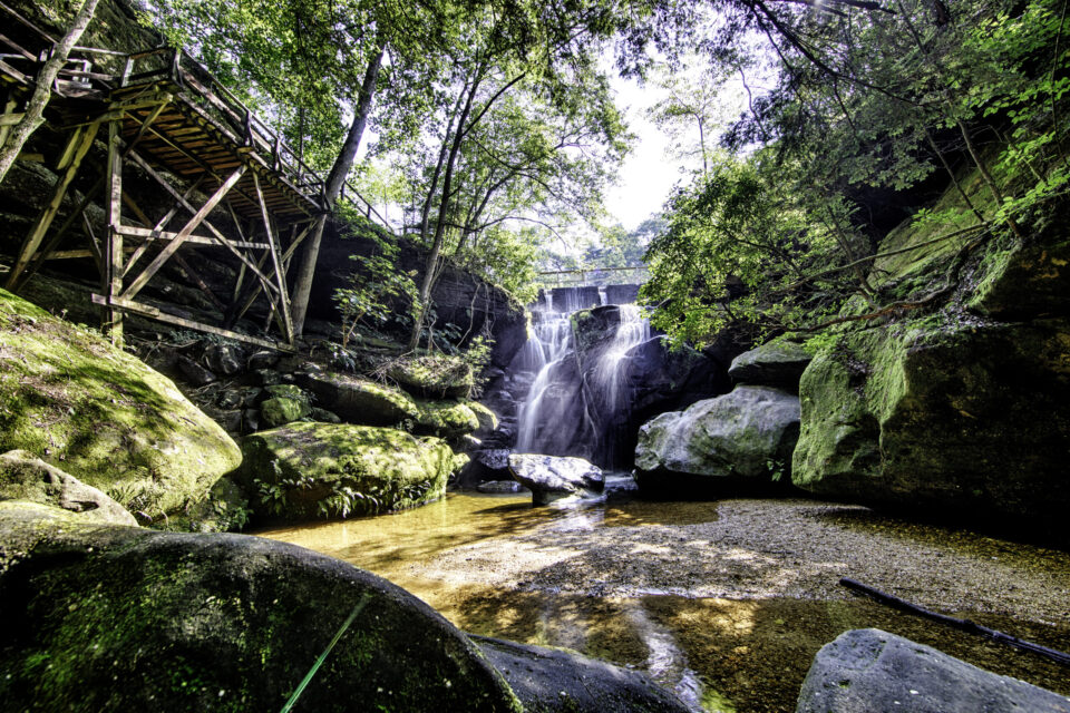 Dismals Canyon