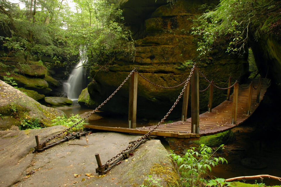 Dismals Canyon