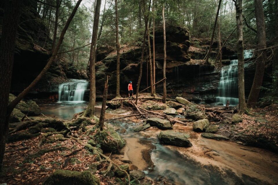 Sipsey Wilderness