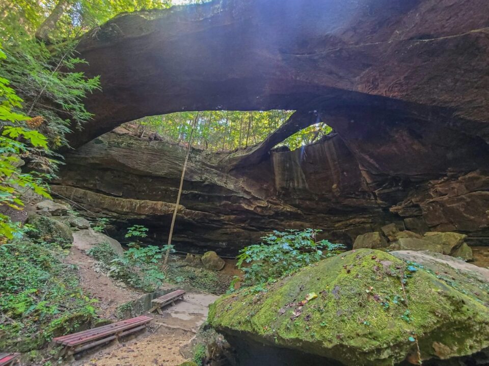 Sipsey Wilderness