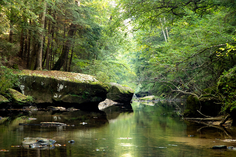Sipsey Wilderness