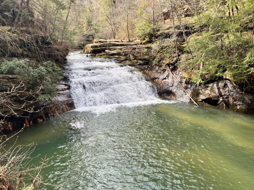 Sipsey Wilderness