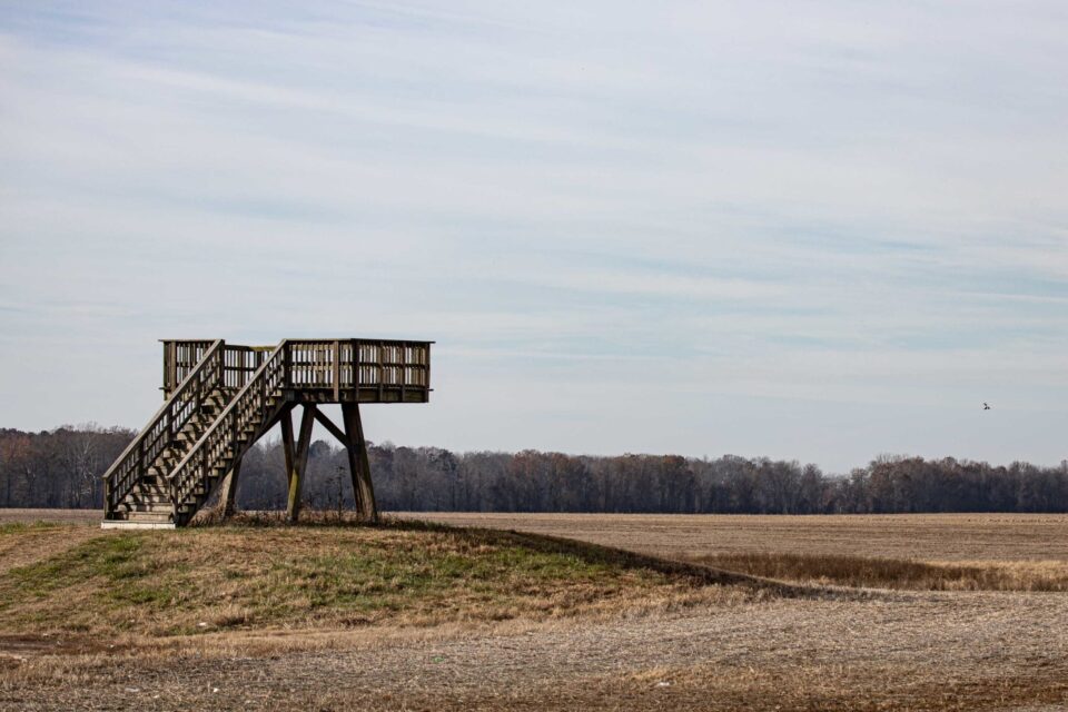Wheeler National Wildlife Refuge